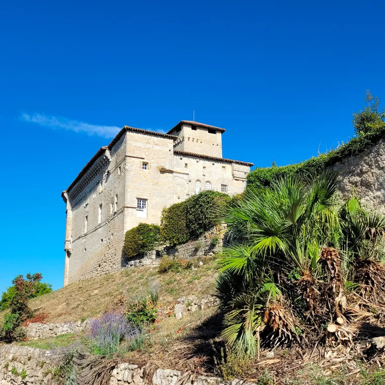 Château de Plieux