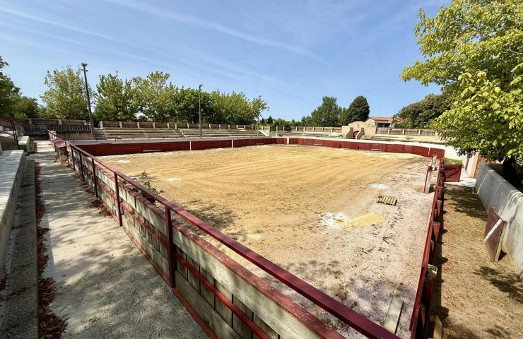 Arènes de Toujouse