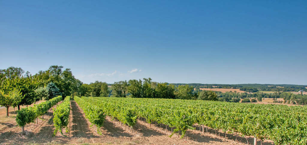 Château Le Courréjot