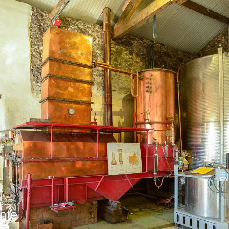 Château Le Courréjot - Découvrez leurs Armagnacs Millésimés