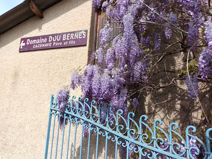 Domain Dou Bernès