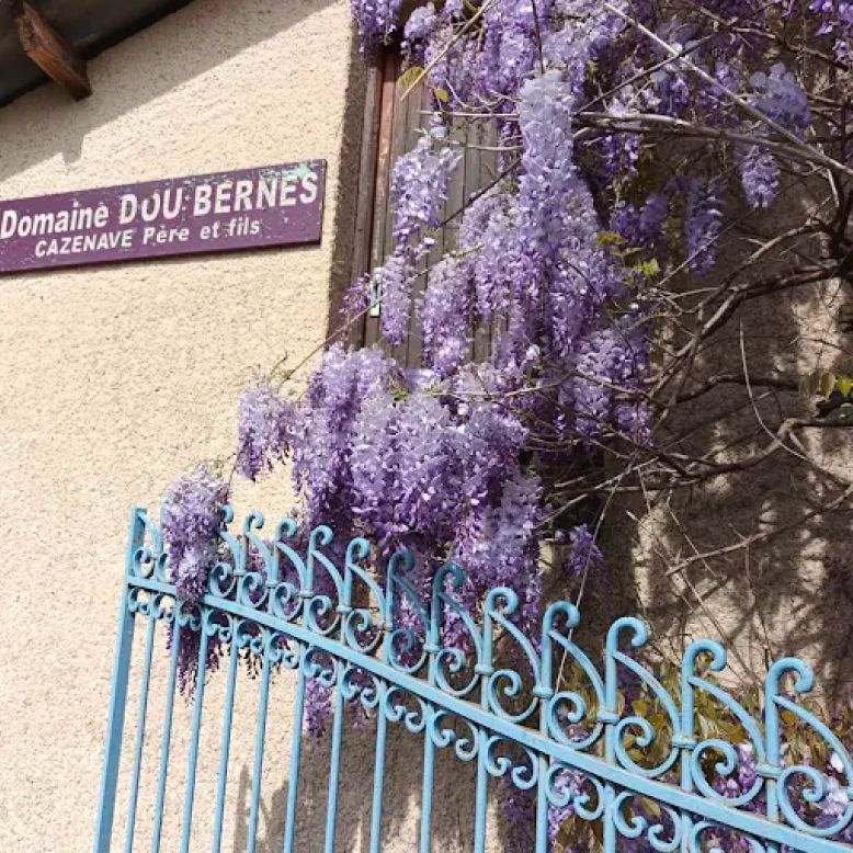 Domaine Dou Bernès