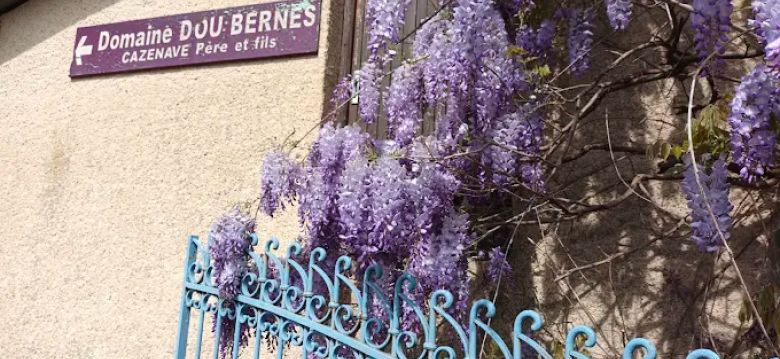 Domaine Dou Bernès