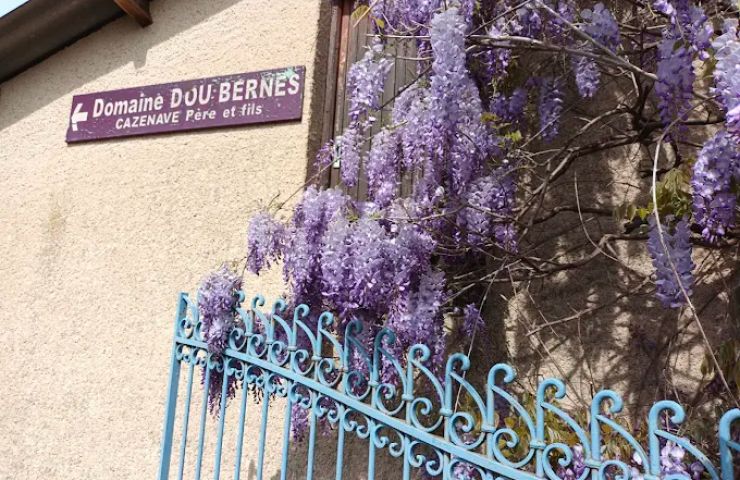 Domain Dou Bernès