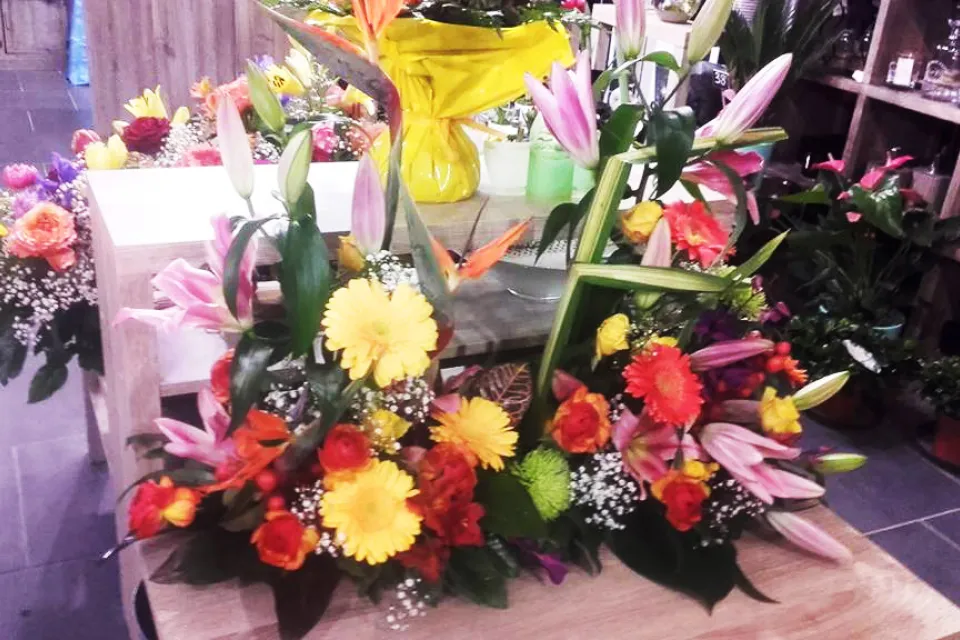Rêves de Fleurs