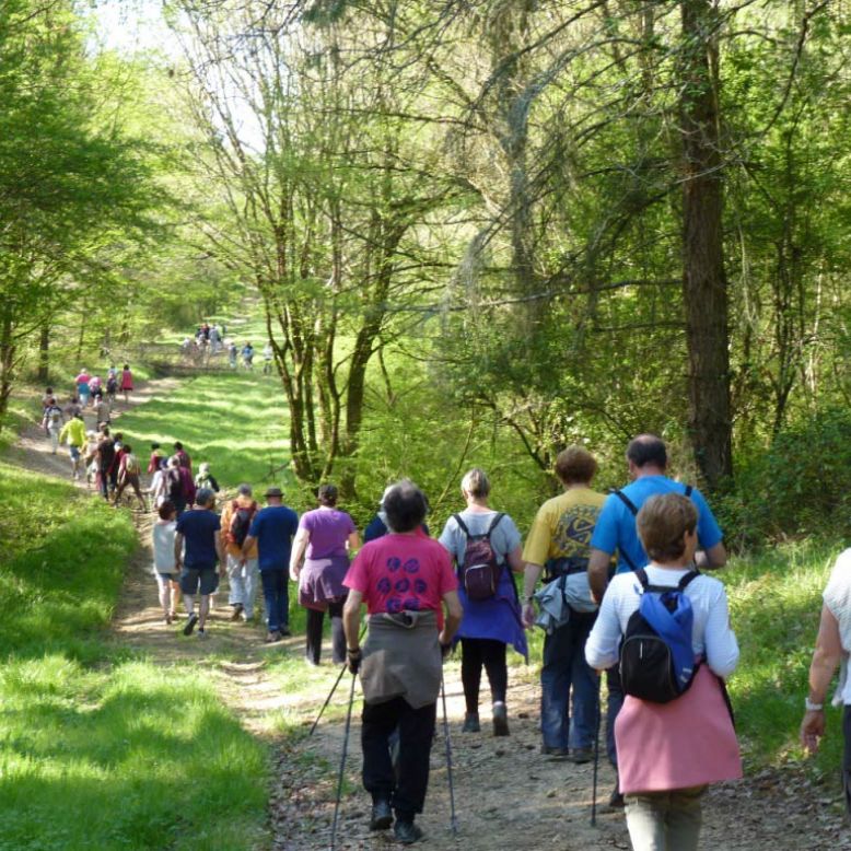 Domaine d'Embidoure
