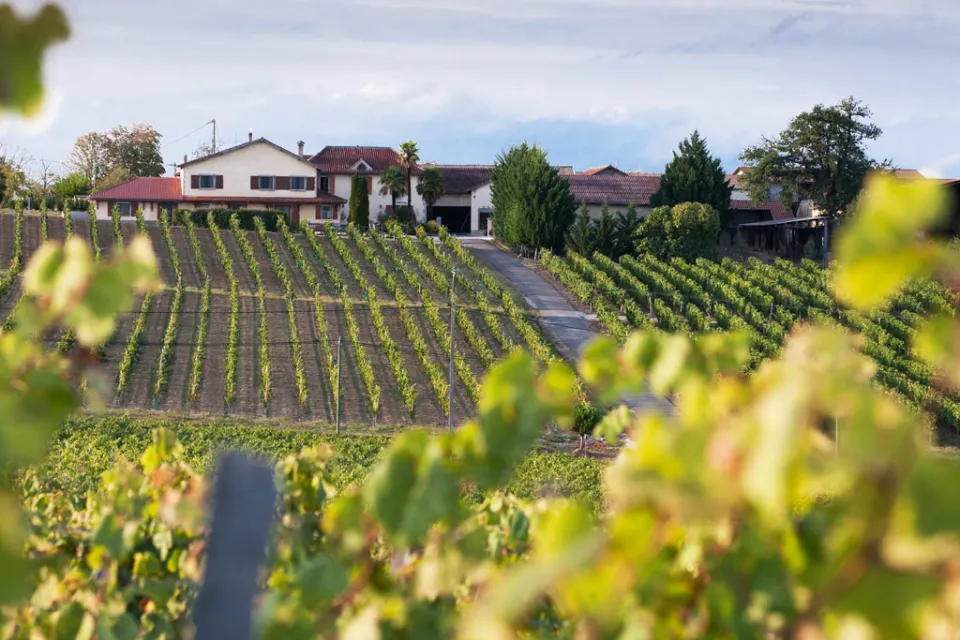 Château Barréjat