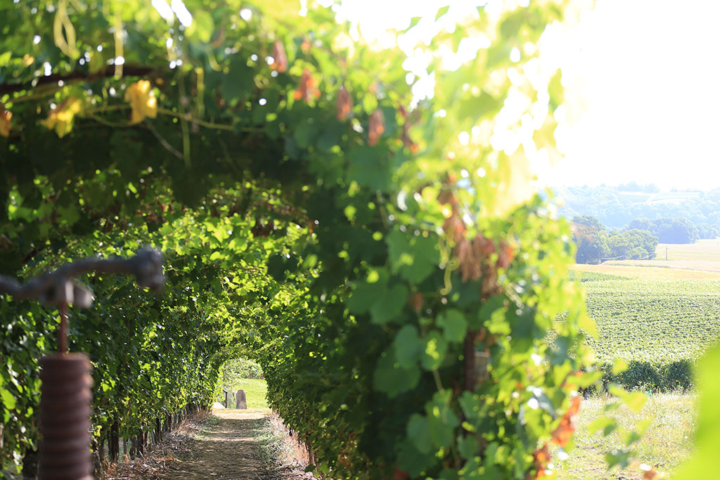 Les Jardins d'Aure