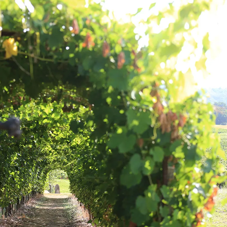 Les Jardins d'Aure