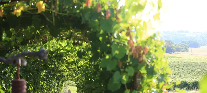 Les Jardins d'Aure