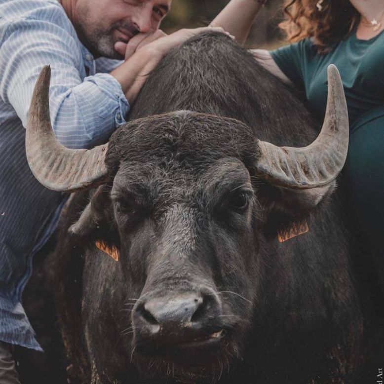 L'Bufala Ferme