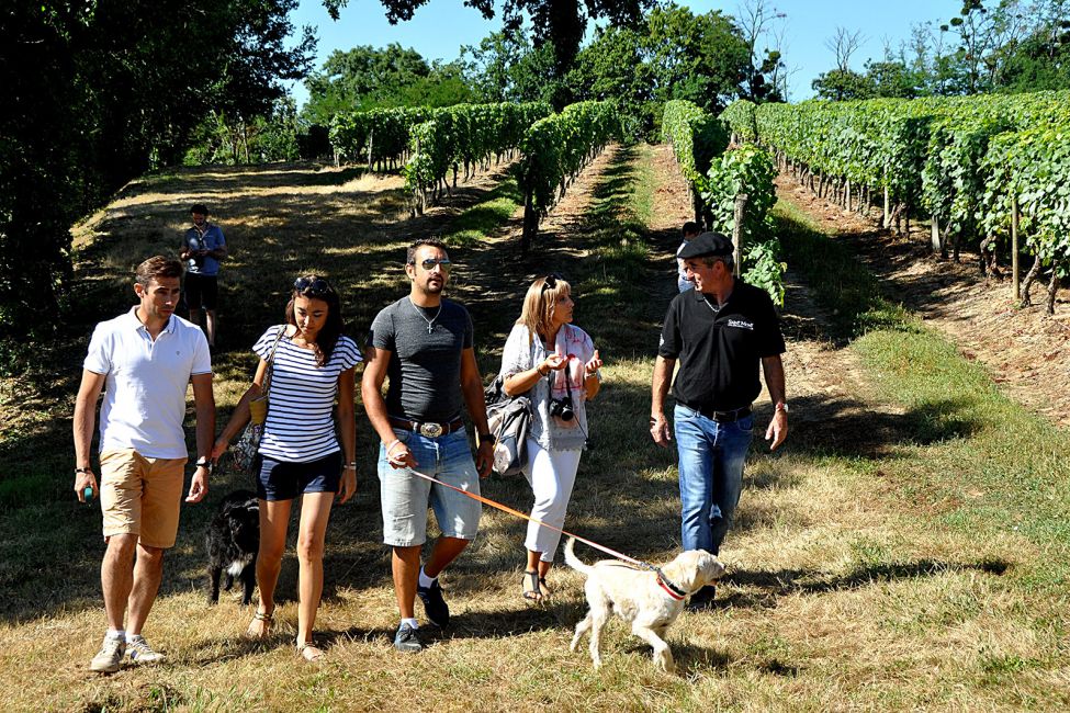 The winegrowers of Plaimont ©Bernard Dugros