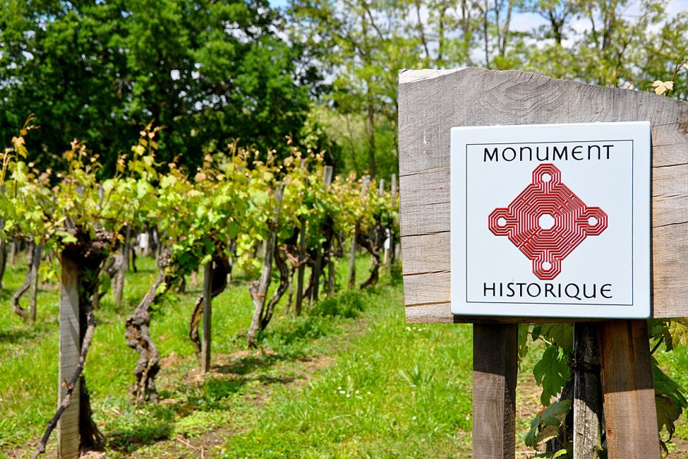 The winegrowers of Plaimont