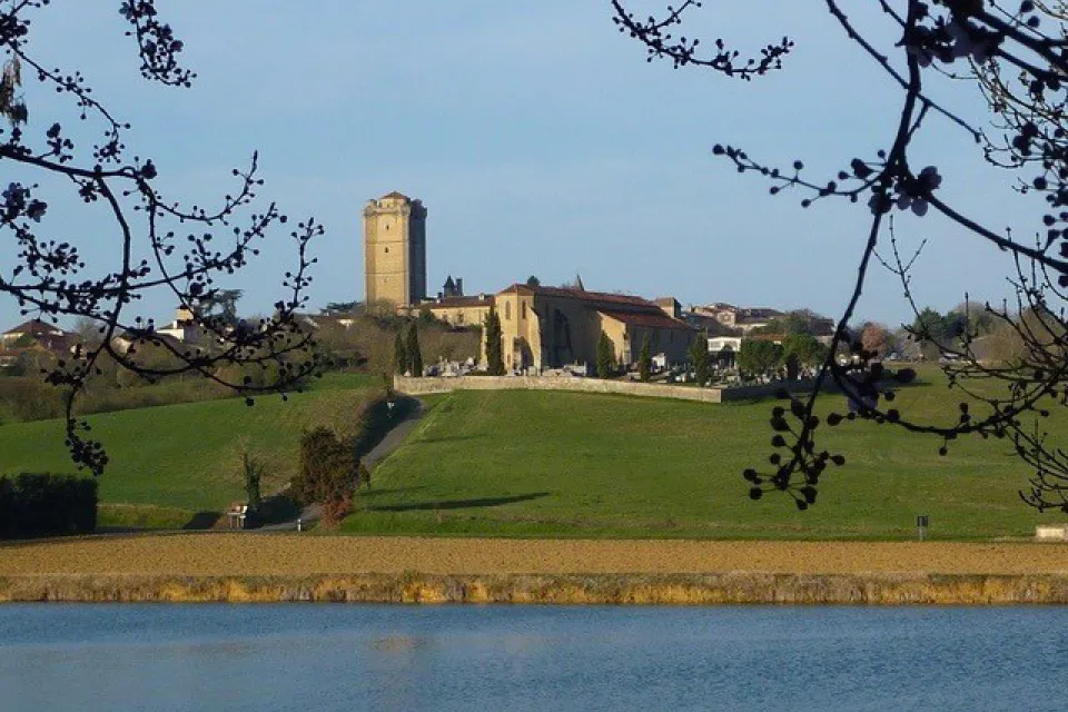 Donjon de Bassoues