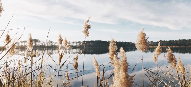 Les Étangs de l’Armagnac