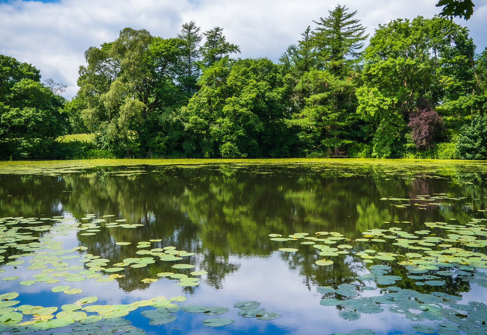 The Moura Pond