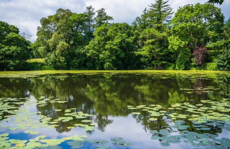 The Moura Pond