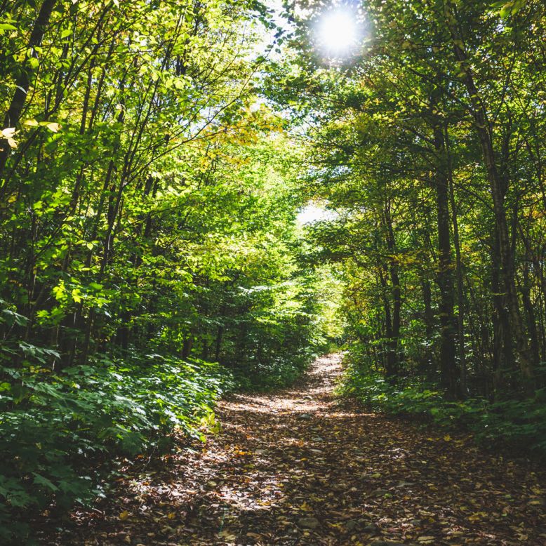 La Forêt de Sérilhac