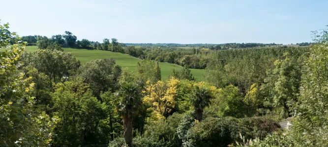 L’Étang de Montréal-du-Gers