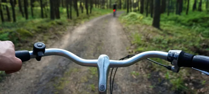 La Forêt de Réjaumont