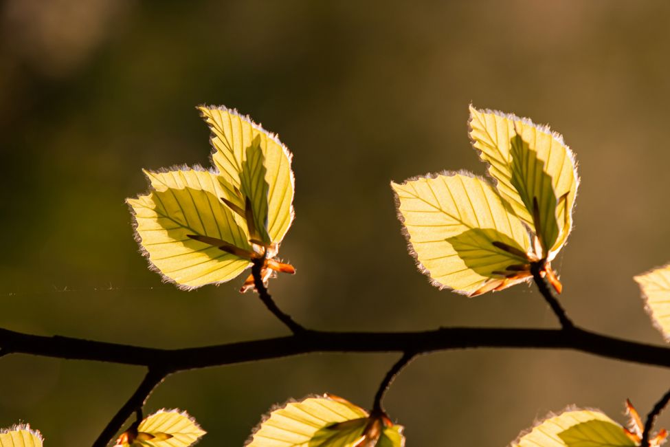 © Richard Loader / Unsplash