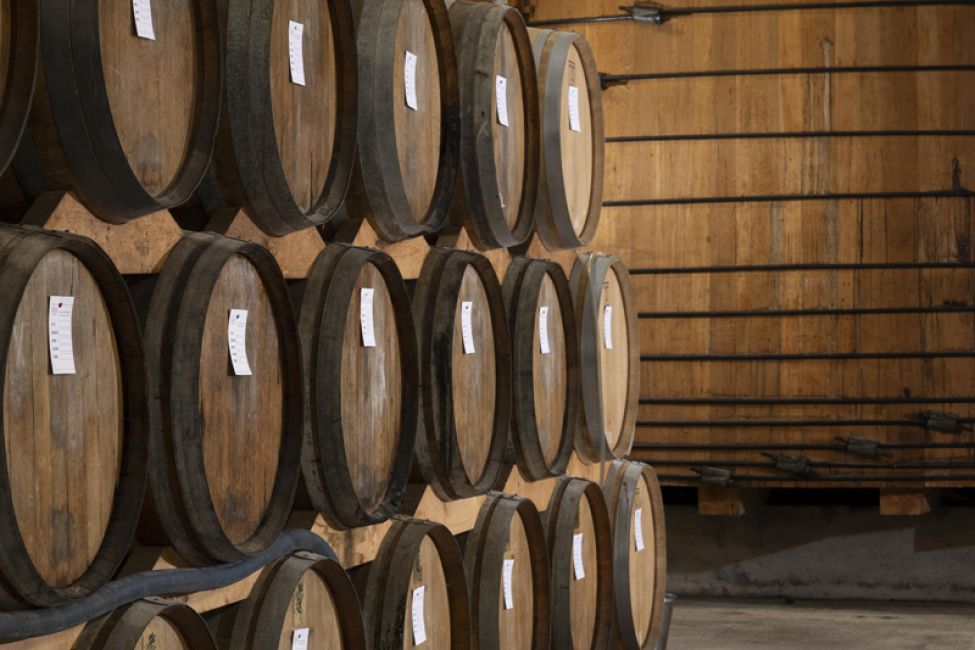 Les Hauts de Montrouge