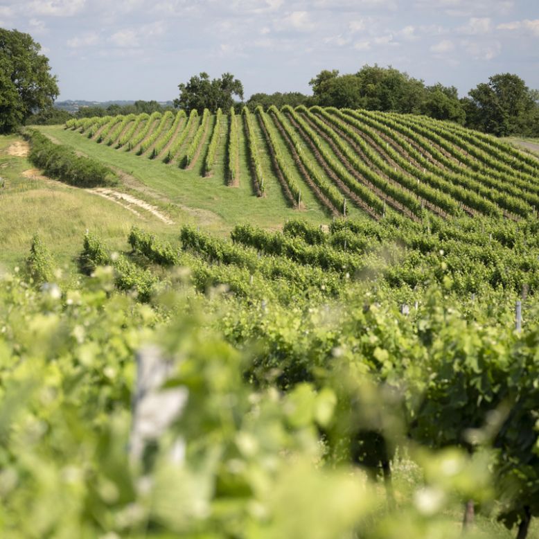 Les Hauts de Montrouge