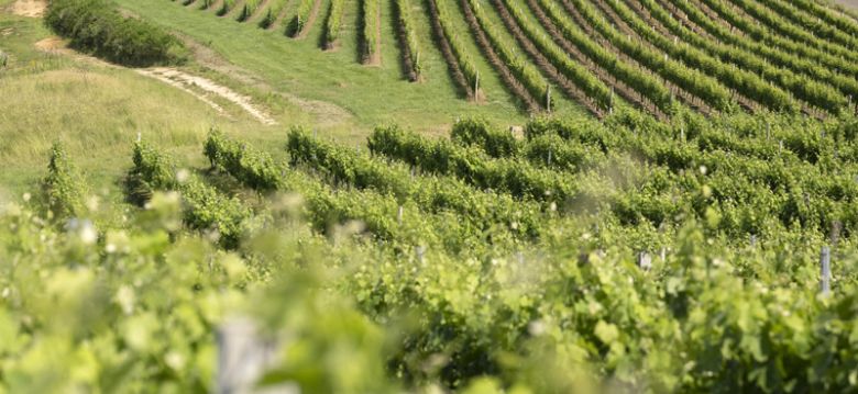 Les Hauts de Montrouge