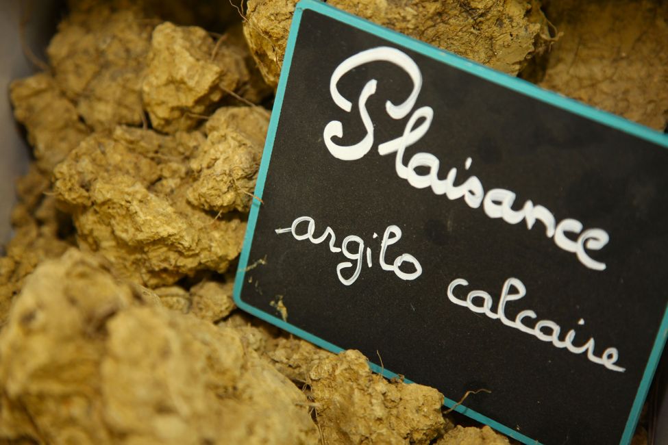 Cave de Plaisance du Gers - Plaimont