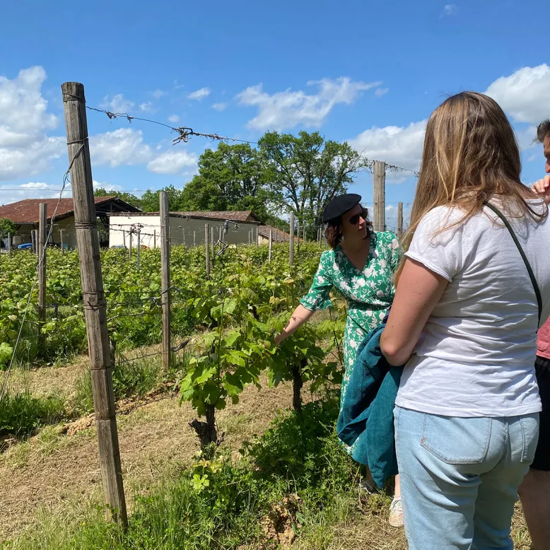 VAE visit with tasting at the Castle of Sabazan