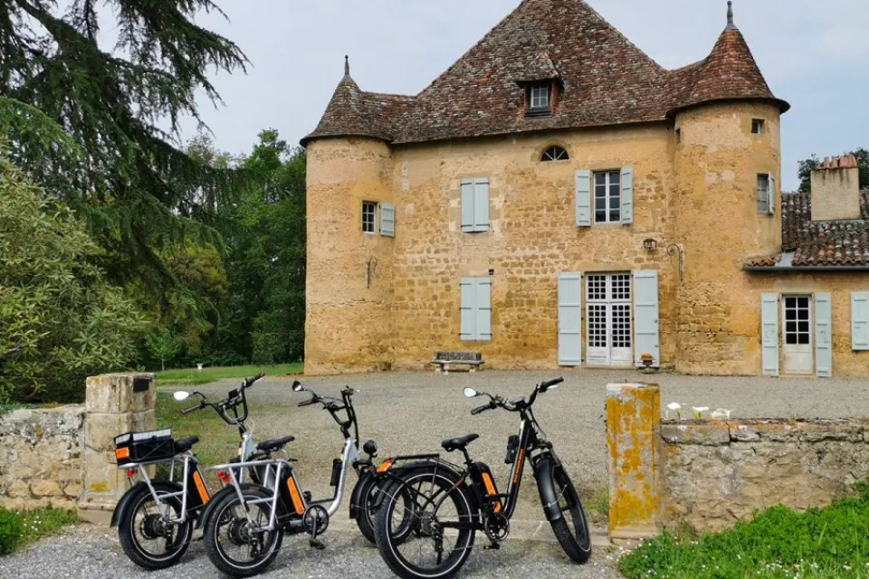 VAE visit with tasting at the Castle of Sabazan