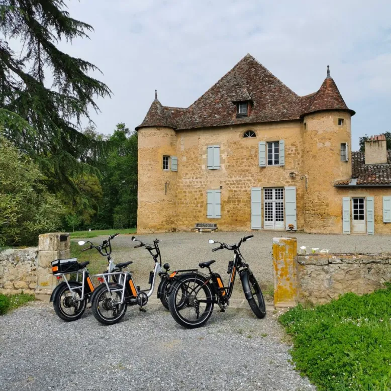 VAE visit with tasting at the Castle of Sabazan