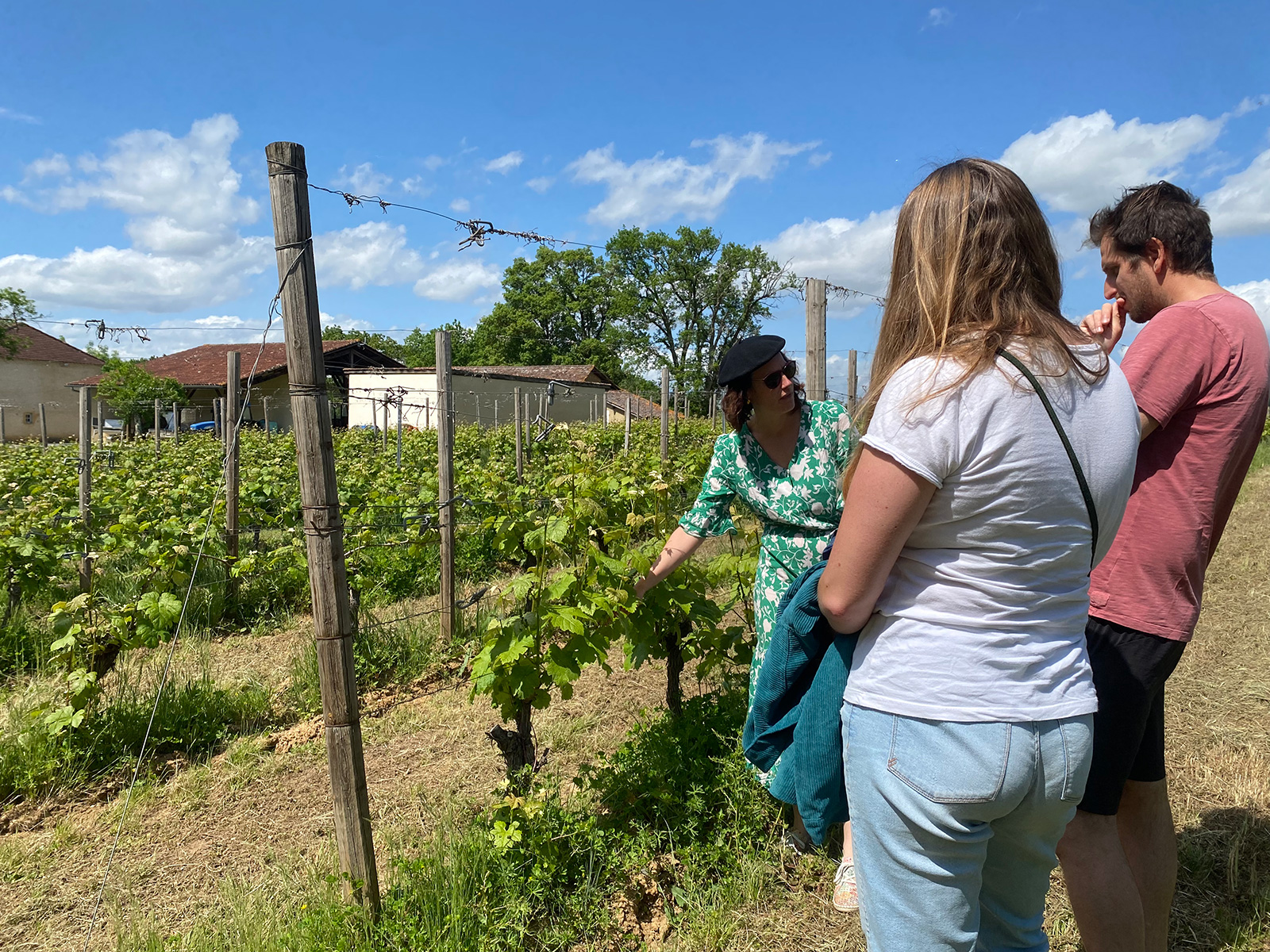 VAE visit with tasting at the Castle of Sabazan