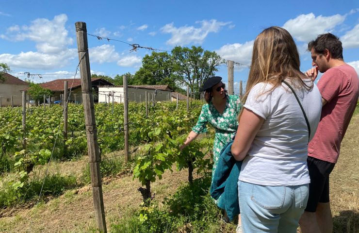 VAE visit with tasting at the Castle of Sabazan