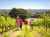 Hike in the Madiran vineyards at Perron Castle © Pierre Meyer