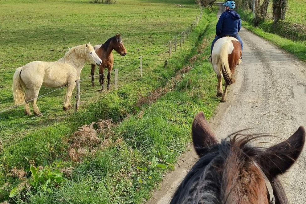Lou Petit Trott à cheval