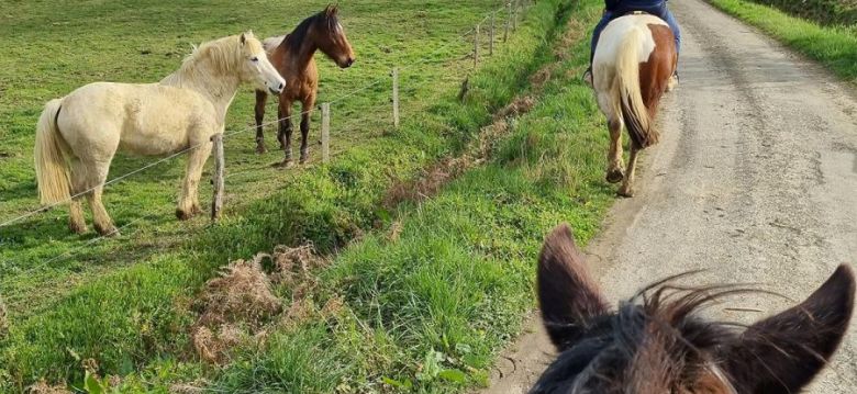 Lou Petit Trott à cheval