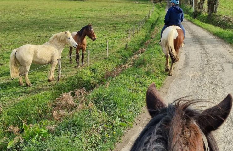 Lou Petit Trott à cheval