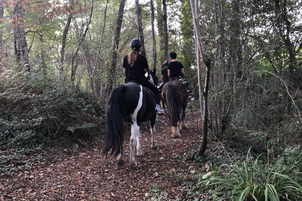 Lou Petit Trott à cheval