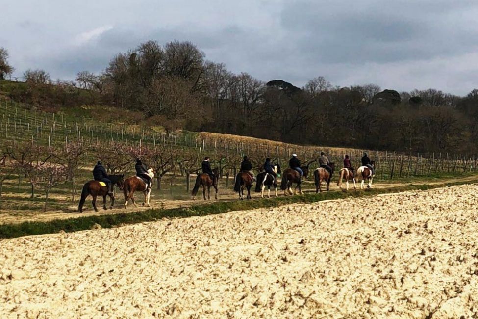 Lou Petit Trott à cheval