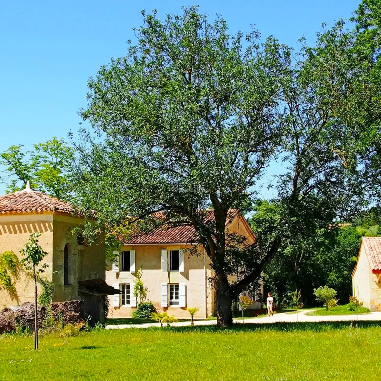 Domaine du Hiron