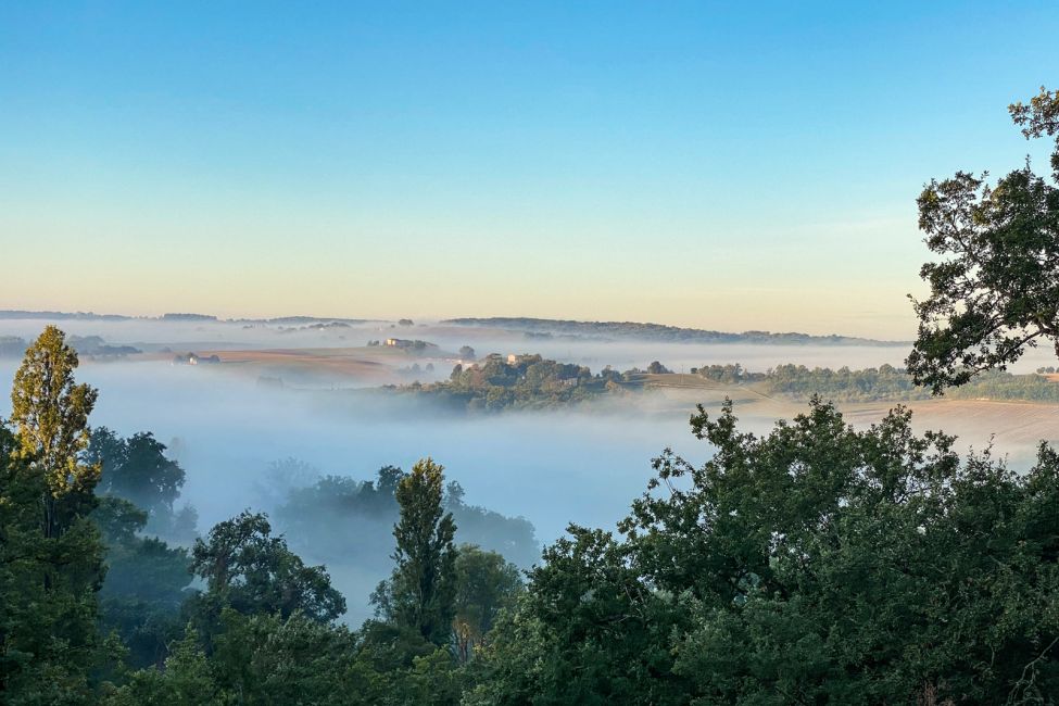 Le Mas Gascon Domaine la Védence