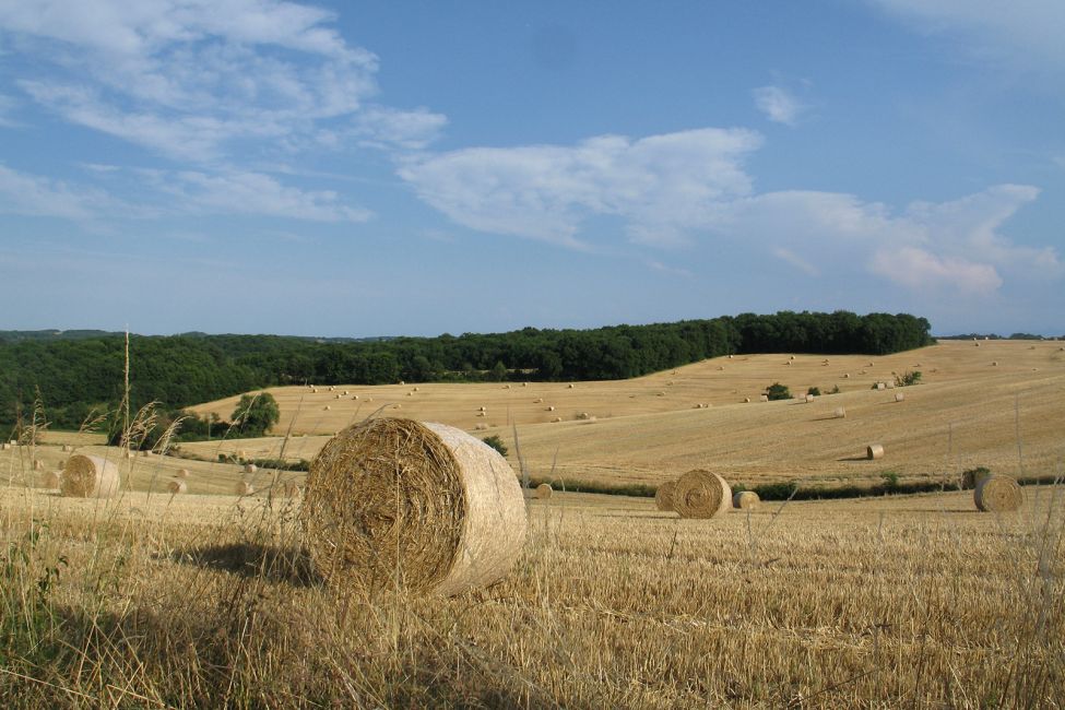 Office de Tourisme Cœur d’Astarac en Gascogne