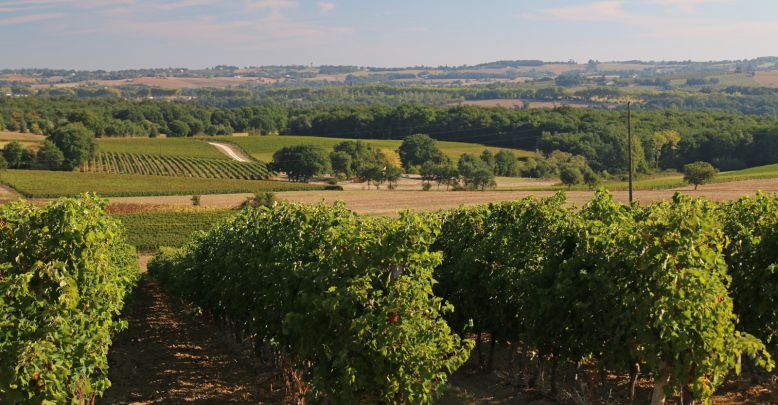 Top 10 unusual visits in the Gers