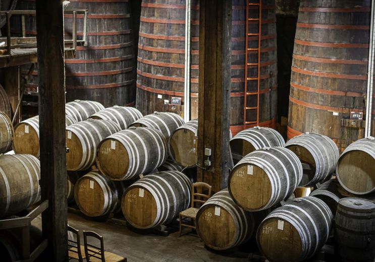 Armagnac Dupeyron, un plongeon au cœur de l’hi ...