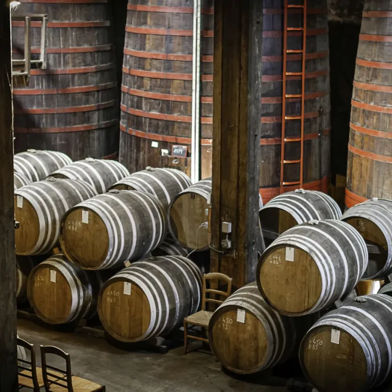 Armagnac Dupeyron, a dive into the heart of th ...