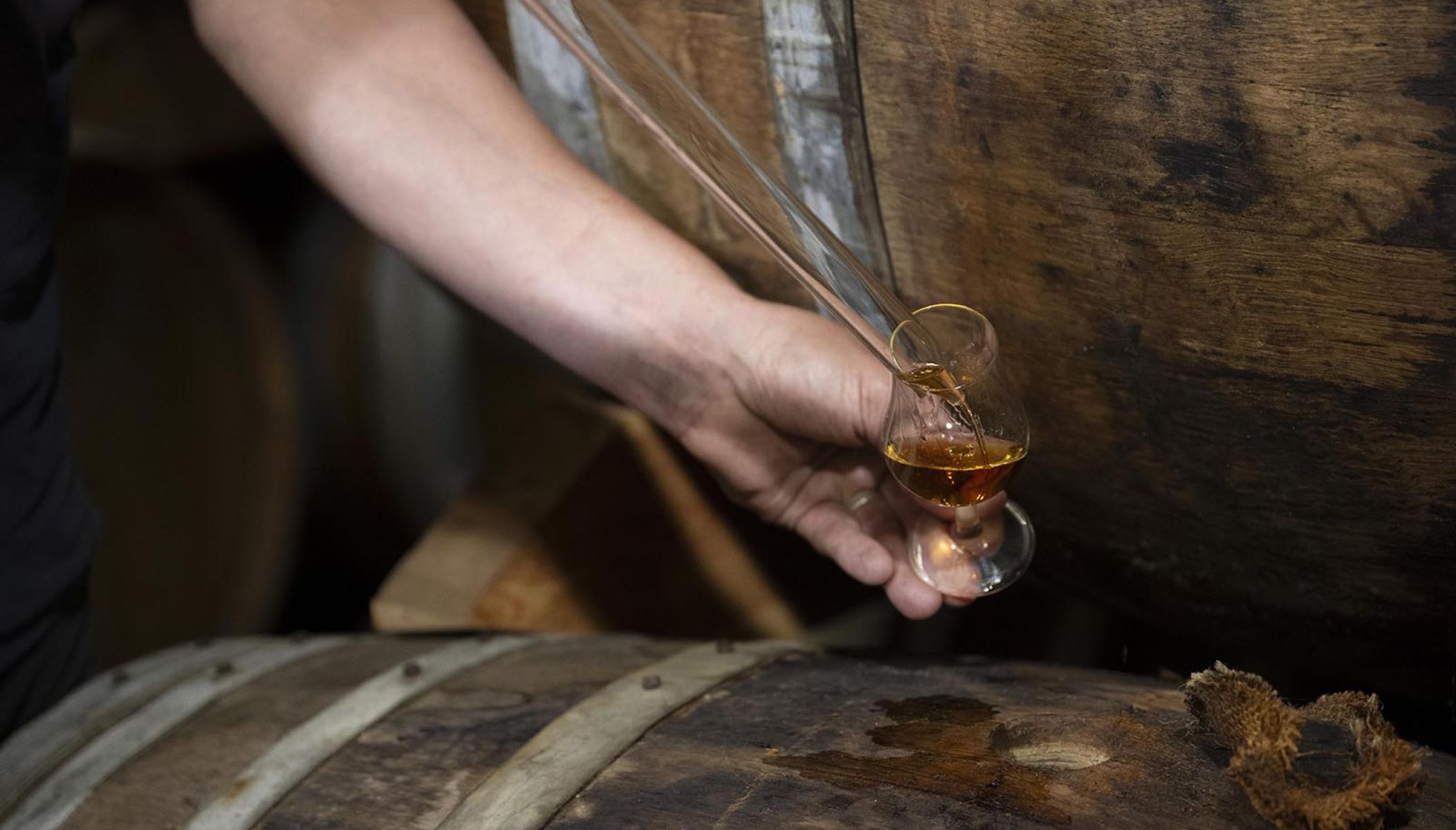 Les Hauts de Montrouge : L’âme de la Gascogne au cœur d’une coopérative visionnaire