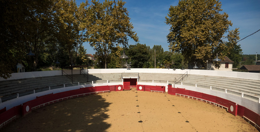 BULLFIGHTING, “COURSE LANDAISE” AND BULL CULTU ...