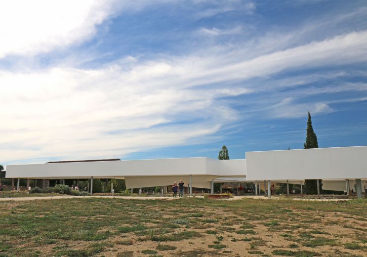 Elusa: Ancient Capital, visit a Gallo-Roman Domus!