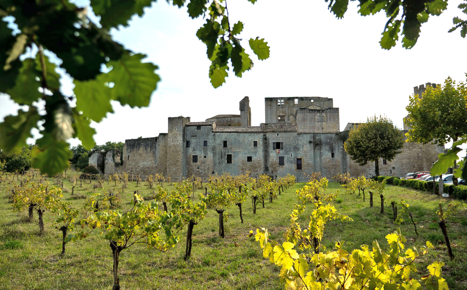 Les visites de vignobles et flamme de l’Armagnac